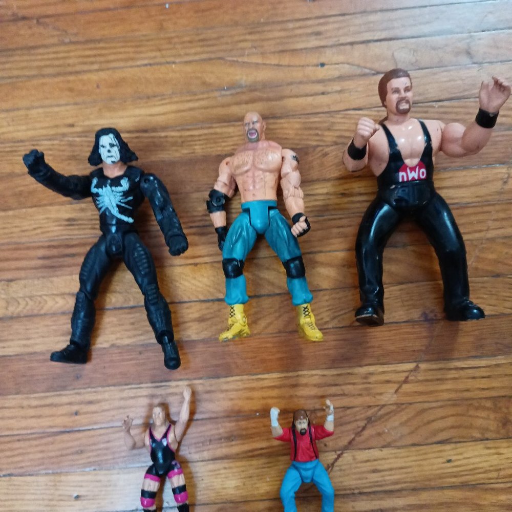Wrestling action figures